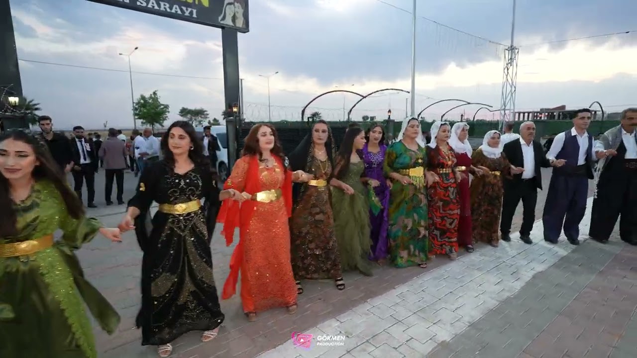 Botan Algun Düğünü Part  4  Xerigi Aşireti ( Grup Musa Silopi ) 2024