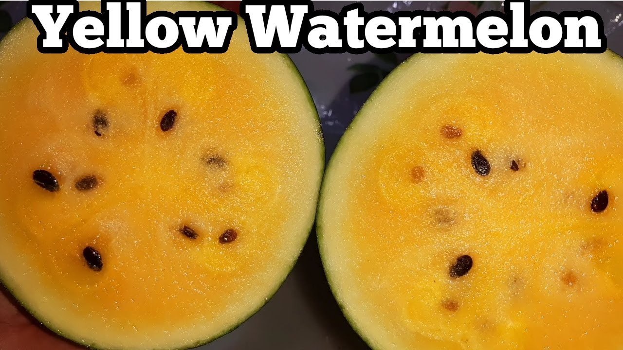 YELLOW WATERMELON | How To Make Watermelon Shake