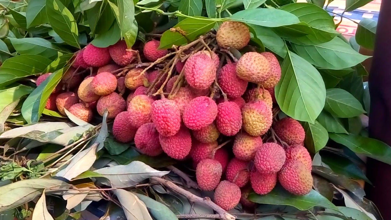 Traditional Village Fruits & Culture || Very Rare Fruit Market In India || Must Wtch Video 2017