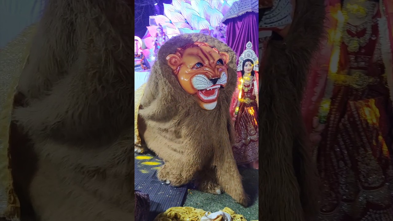 Sher Ki Jhanki new #trending #shortfeed #shorts