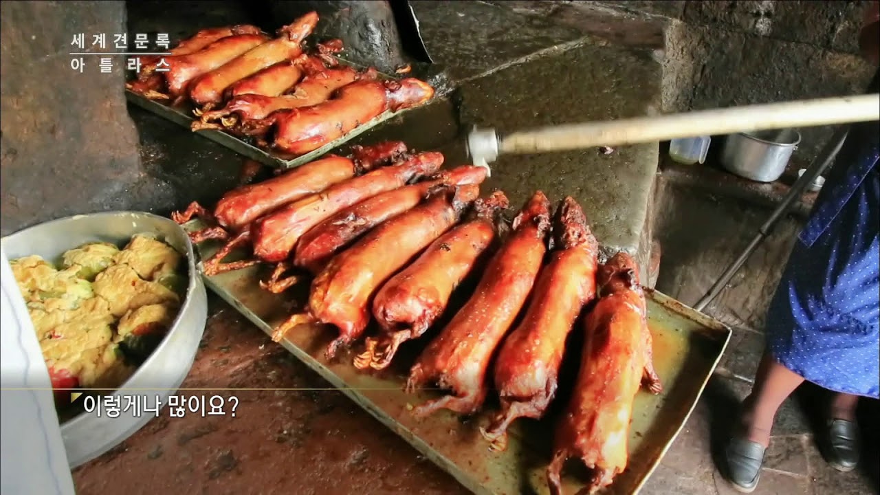 한 마리가 일 인분! 기니피그 통구이 &lsquo;꾸이&rsquo; (Cuy - Eating Guinea Pig in Tipon, Peru)
