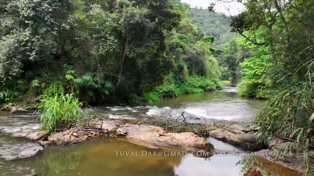 Tropical forest in Madagascar / East Madagascar Aerial
