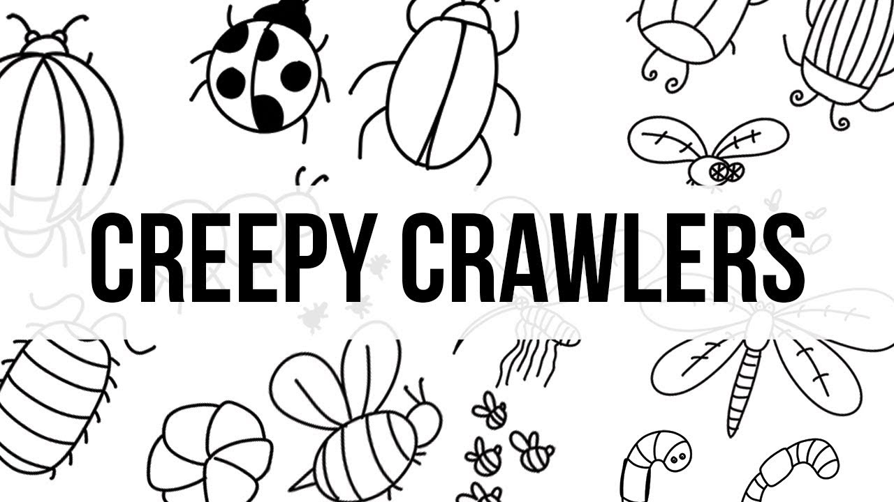 Doodling For Beginners | Bugs And More Bugs