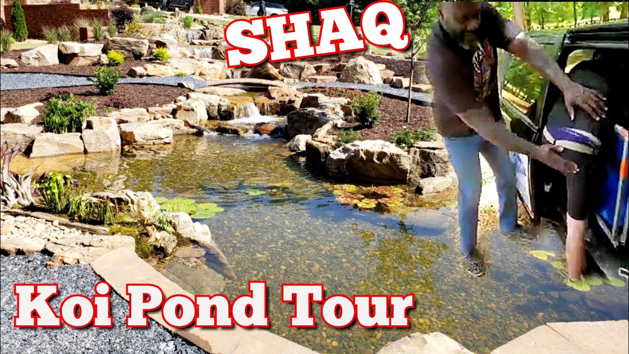 Shaquille O'Neal Spanked Josh and see his Massive new pond tour in 4k