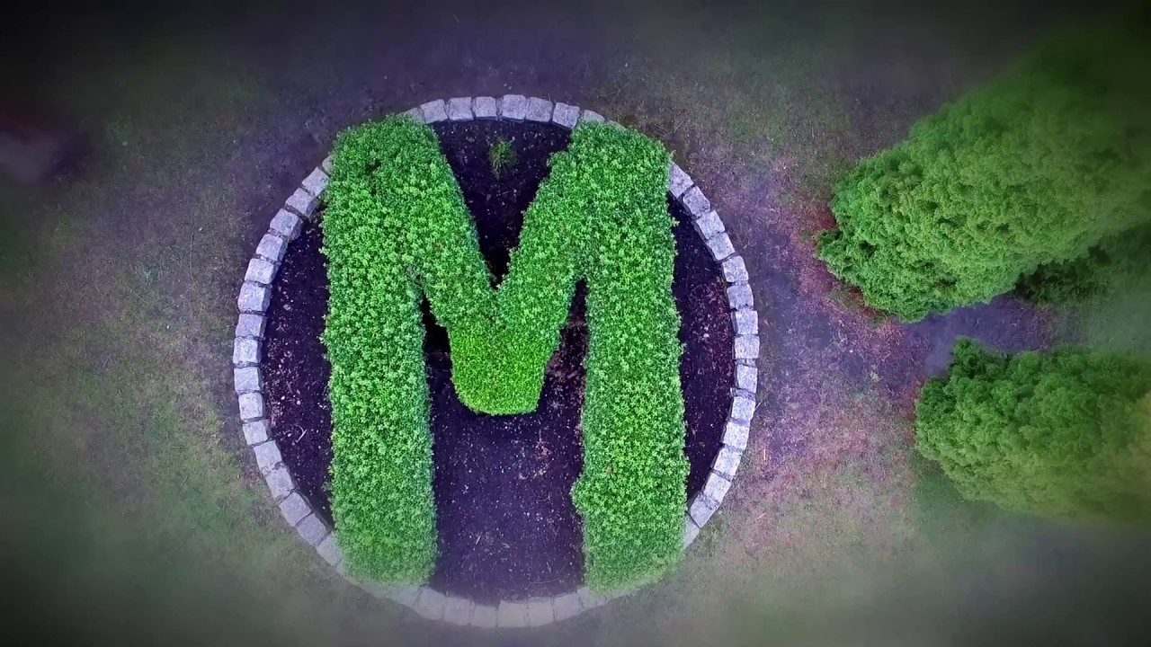 Film reklamowy Akademickie Liceum Ogólnokstałcące Milenium