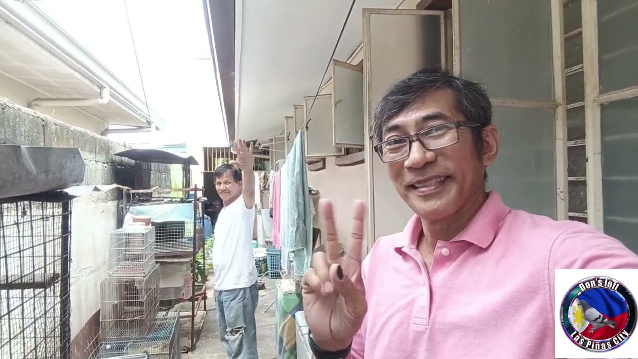 Showbird po tayo para sa FR ng APR Open Summer'24 Race sabay loft visit kay sir Mon De Guzman. 🕊️