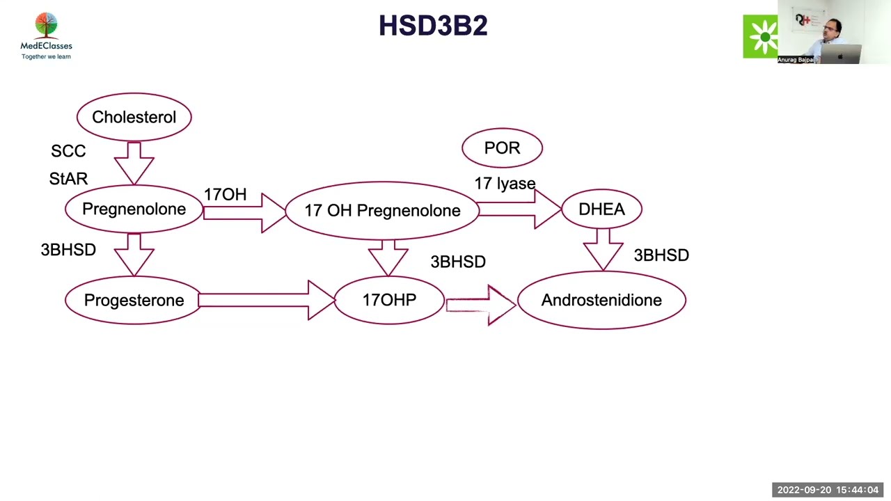 MedEClasses Module Steroidogenesis II