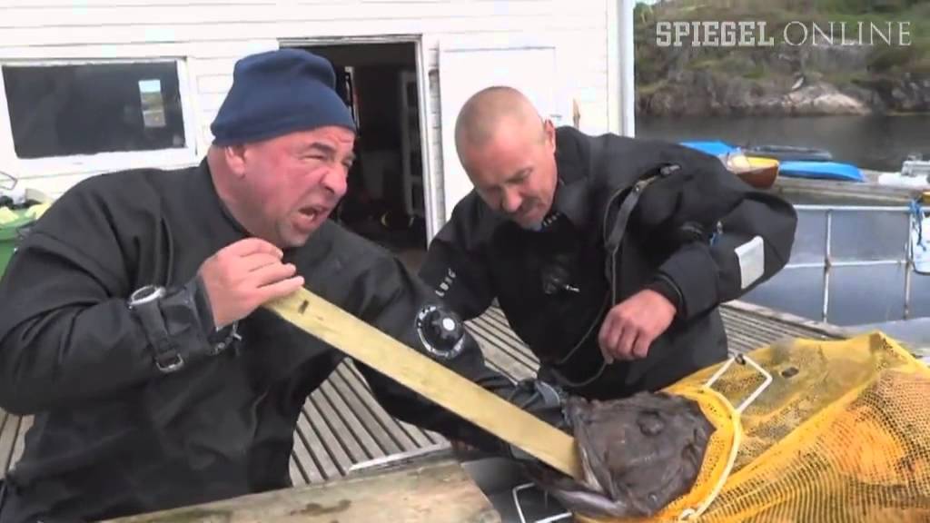 Drei Russen und ein Seeteufel