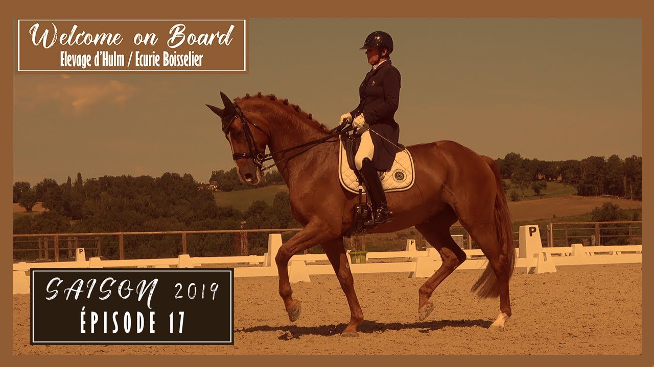 Nicole Favereau et Ginsengue au Grand Prix de Limoges préparatoire au Grand National FFE