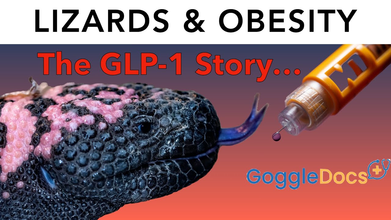The GLP-1 Story... (a GoggleDocs Podcast)