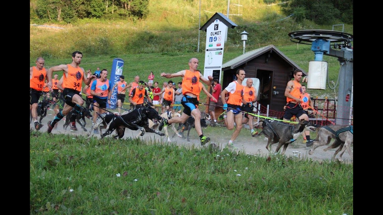 Der Start im Canicross Wettkampf