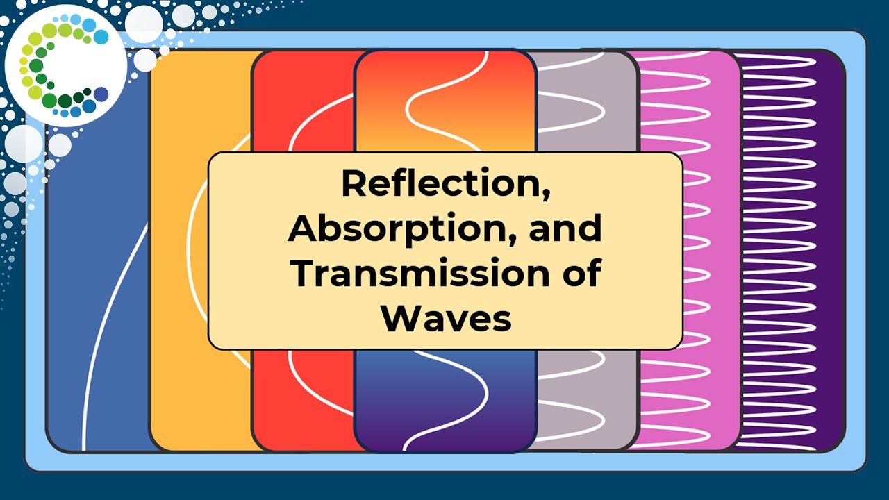 Reflection, Absorption, and Transmission of Waves