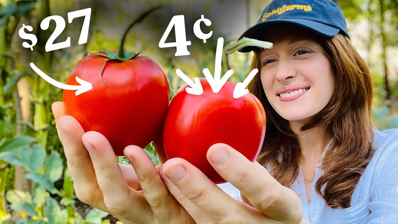 How We Stopped Wasting Money on Gardening — And What We Do Now