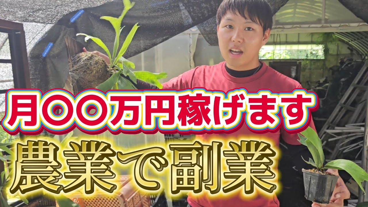農業で副業する方法を大公開！！サラリーマンでも稼げる農業副業を紹介します！