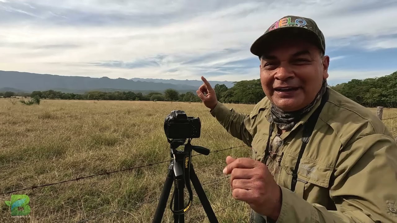 Capítulo 2 Halcon Aplomado