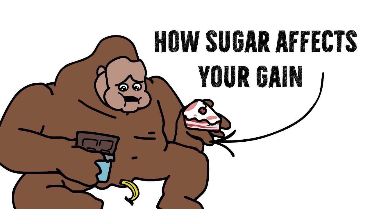 How Sugars Affects Your Gains