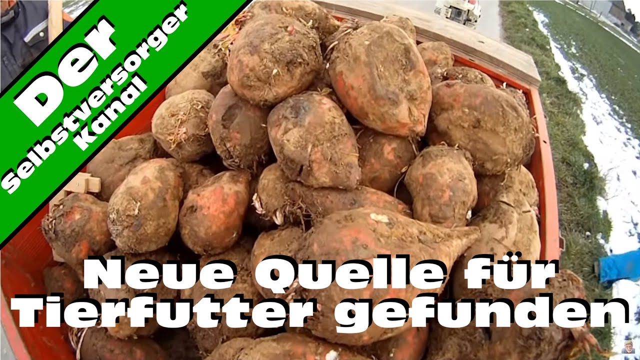 Neue Quelle für Tierfutter gefunden
