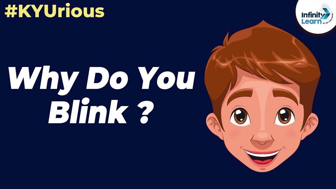 KYU Box Season 3 | Qpisode 7 | Why do we Blink? | Don't Memorise