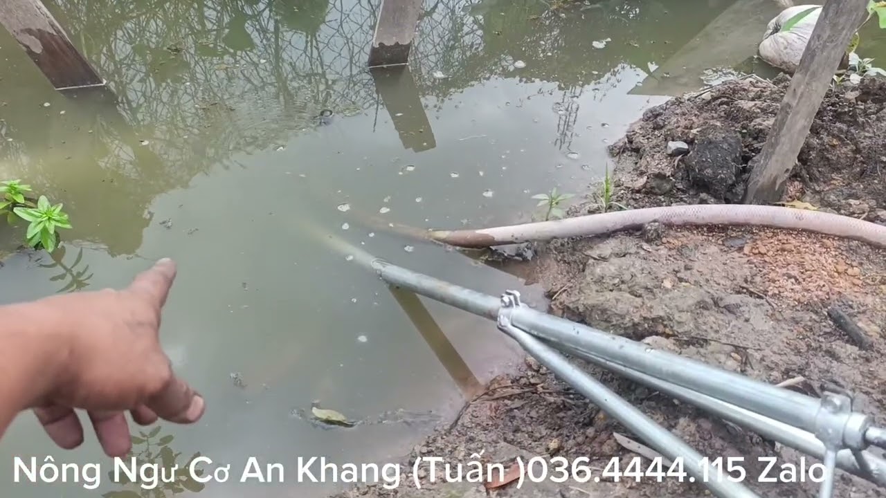 Tét máy cắt cỏ nồng 34 li đầu bò mân 1tất2 .bà con ae cần 036.4444 .115 .