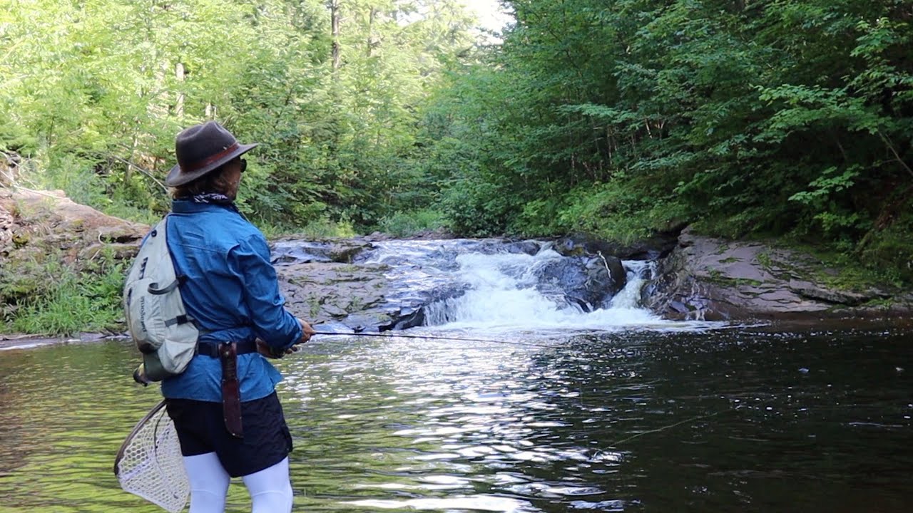 FLY FISHING PORCUPINE MOUNTAINS | UPPER PENINSULA OF MICHIGAN: HIKING ALONG BIG & LITTLE CARP CREEK
