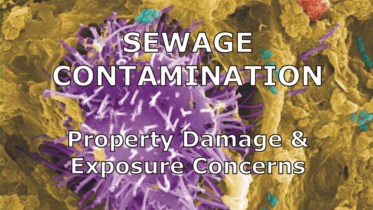 Sewage Contamination, Property Damage & Exposure Concerns by IndoorDoctor