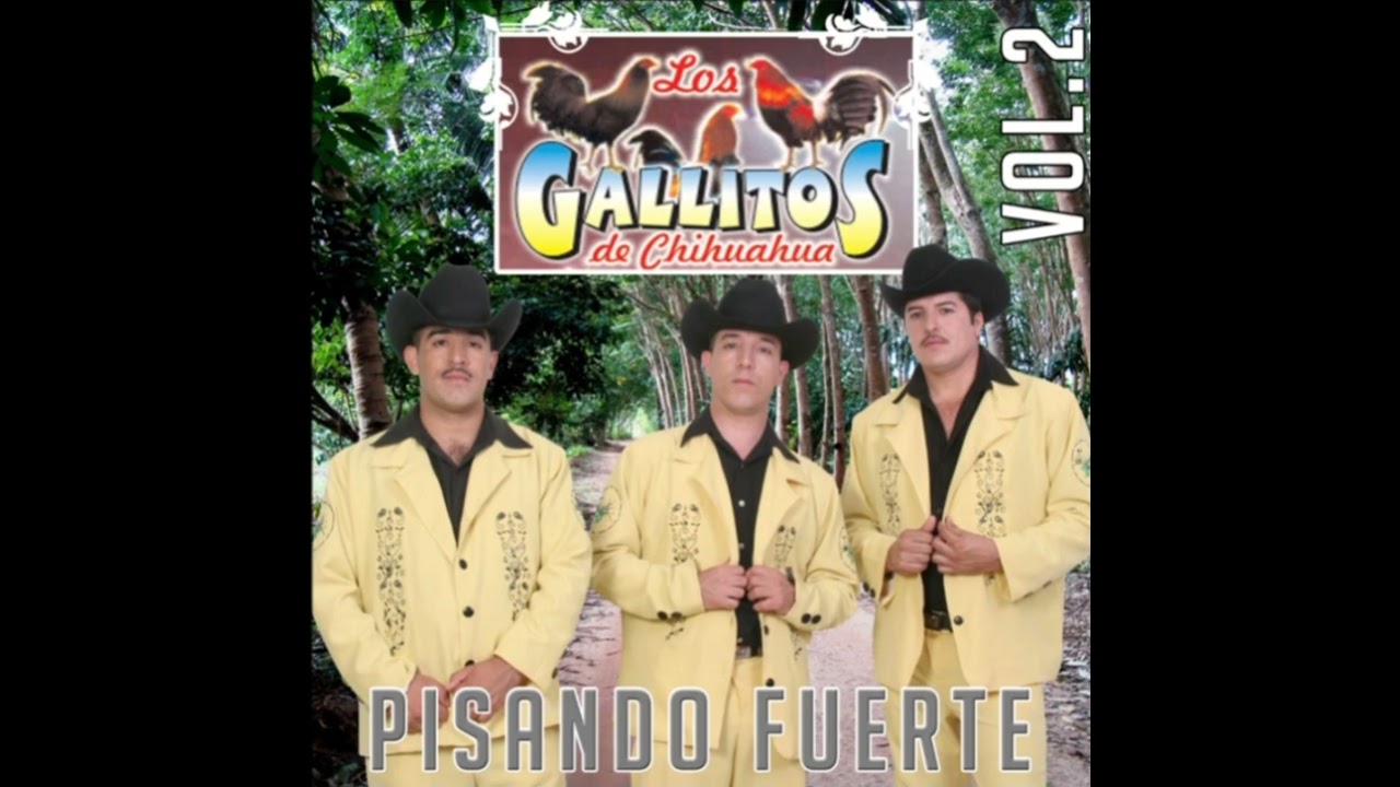 Gallitos De Chihuahua Pista 2