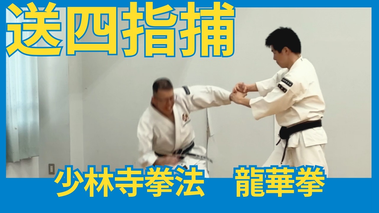 送四指捕（少林寺拳法・龍華拳）｜法形・技の復習動画