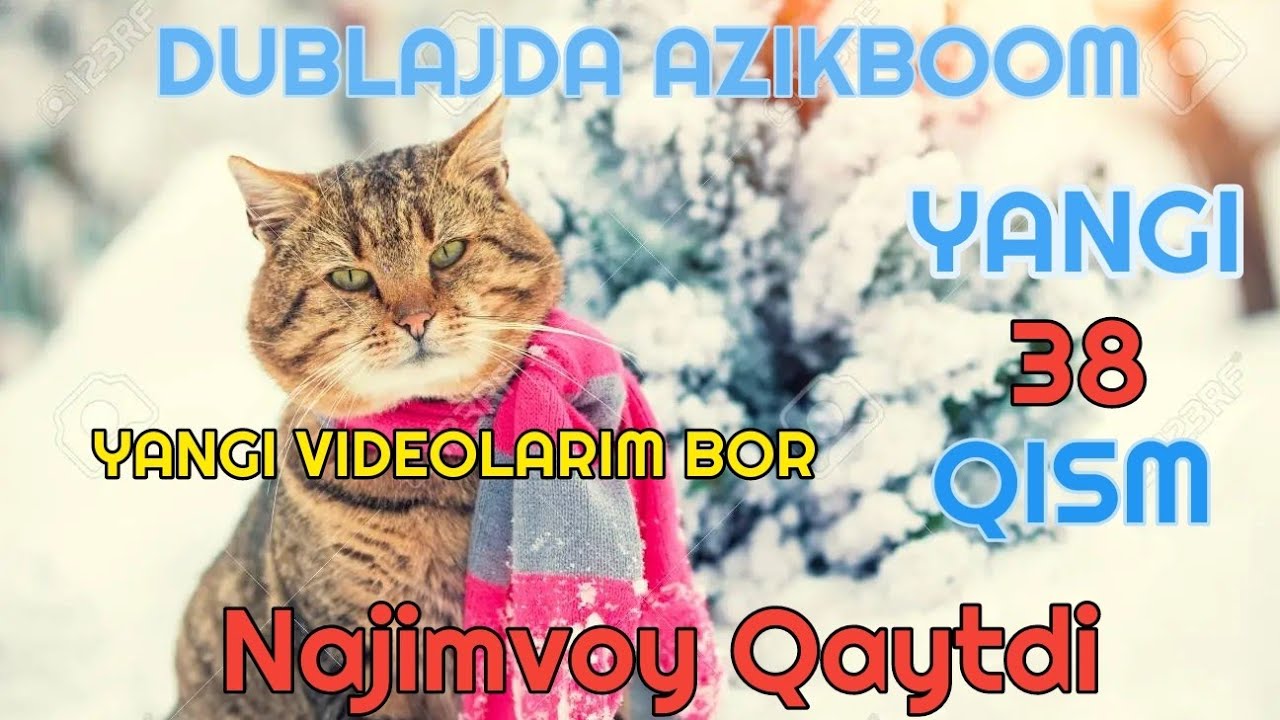 Mushuk Najim 38-Qism dublajda AzikBoom