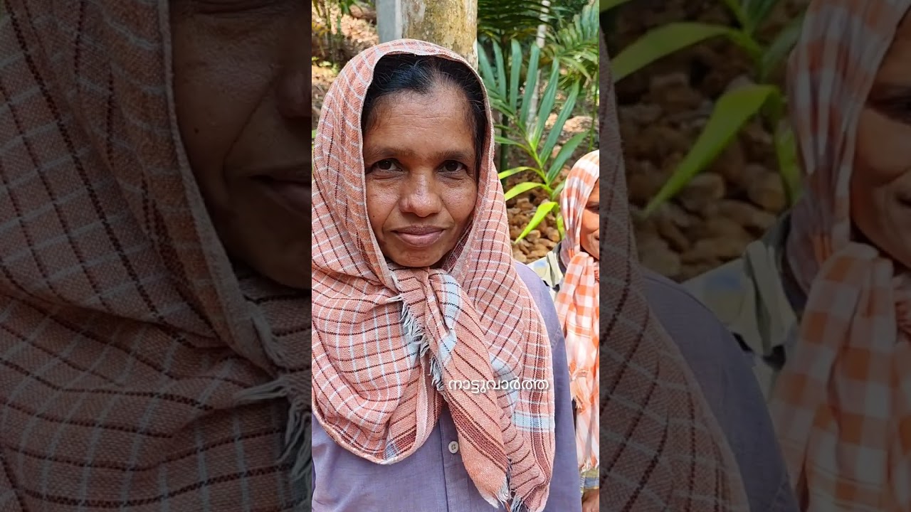തൊഴിലുറപ്പ് കുളം പെരിങ്ങാനം