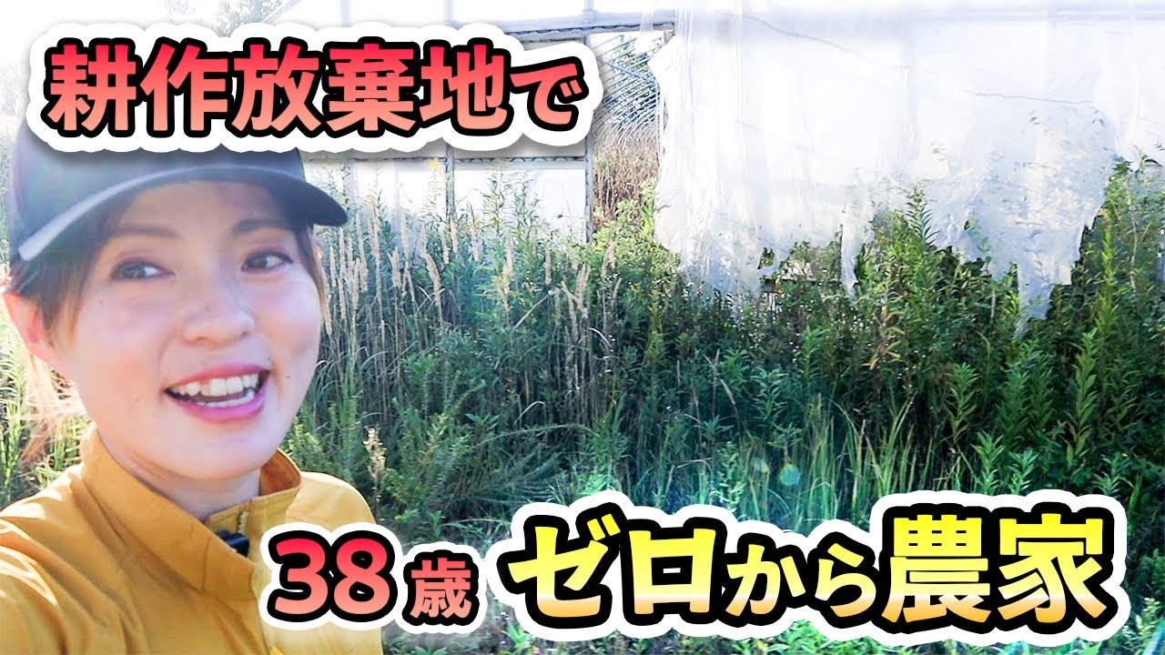 【北海道】酷暑でも甘いミニトマトを鈴なりに！「痩せた土地」を復活させる土づくりへの挑戦