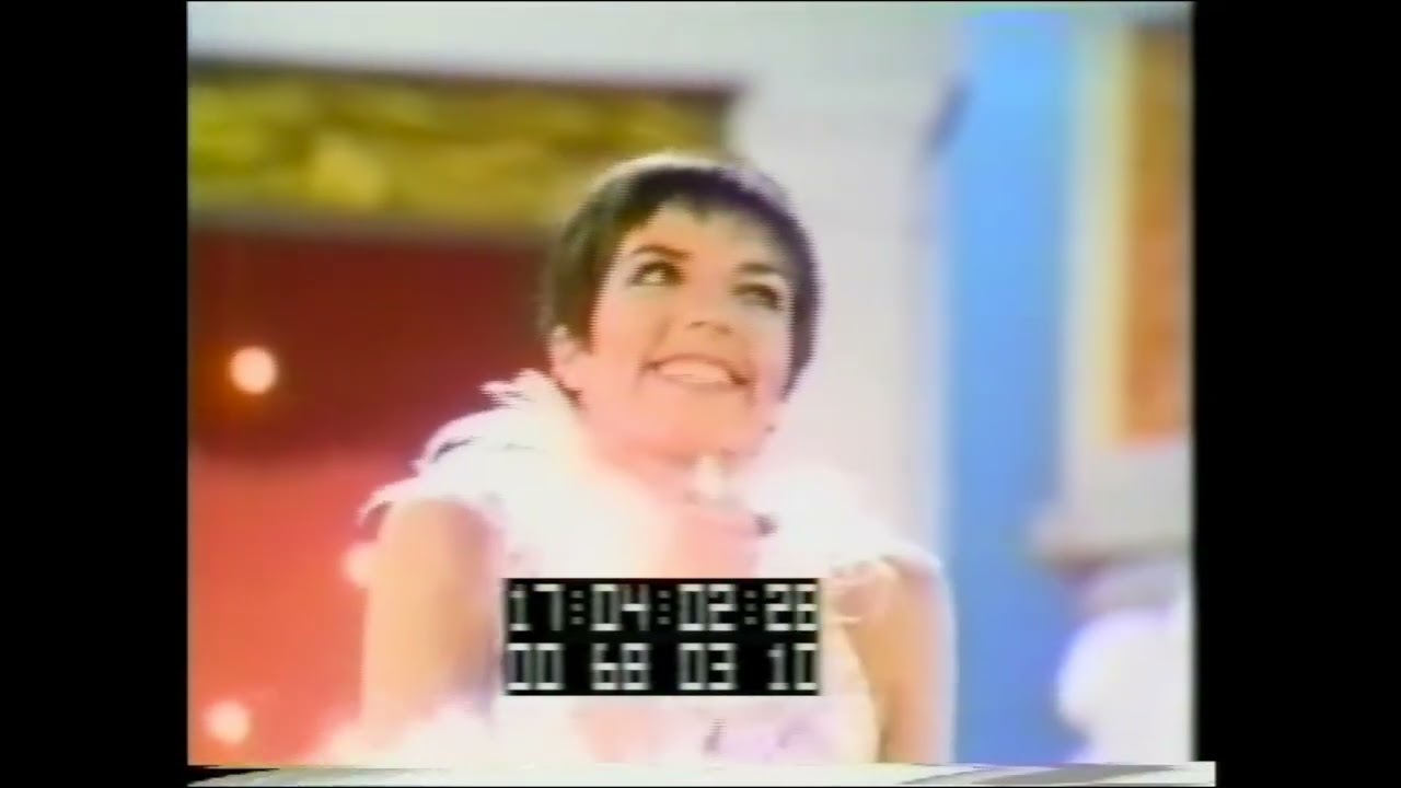 Liza Minnelli sings The Life of the Party