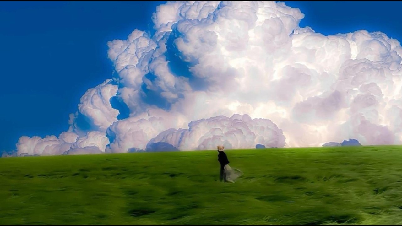 everything feels lighter here