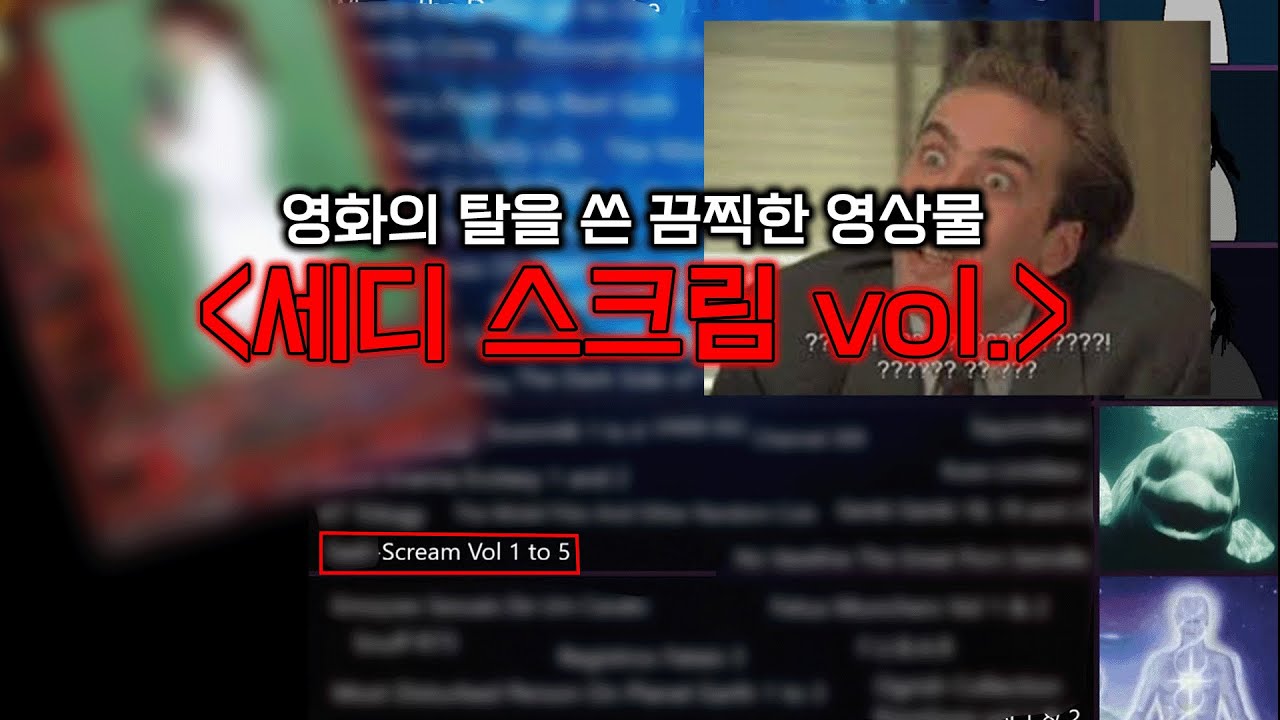 아무도 본 적 없는 음지의 끝자락에 있는 영상... [세디 스크림vol.]