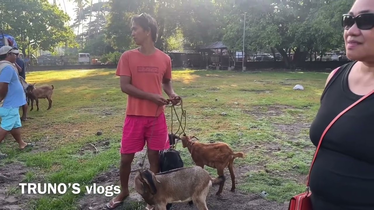 Bumili ng tatlong pang Letchon para sa kasal no sister &  2 goats  para sa kubo  &  Lunch  bonding