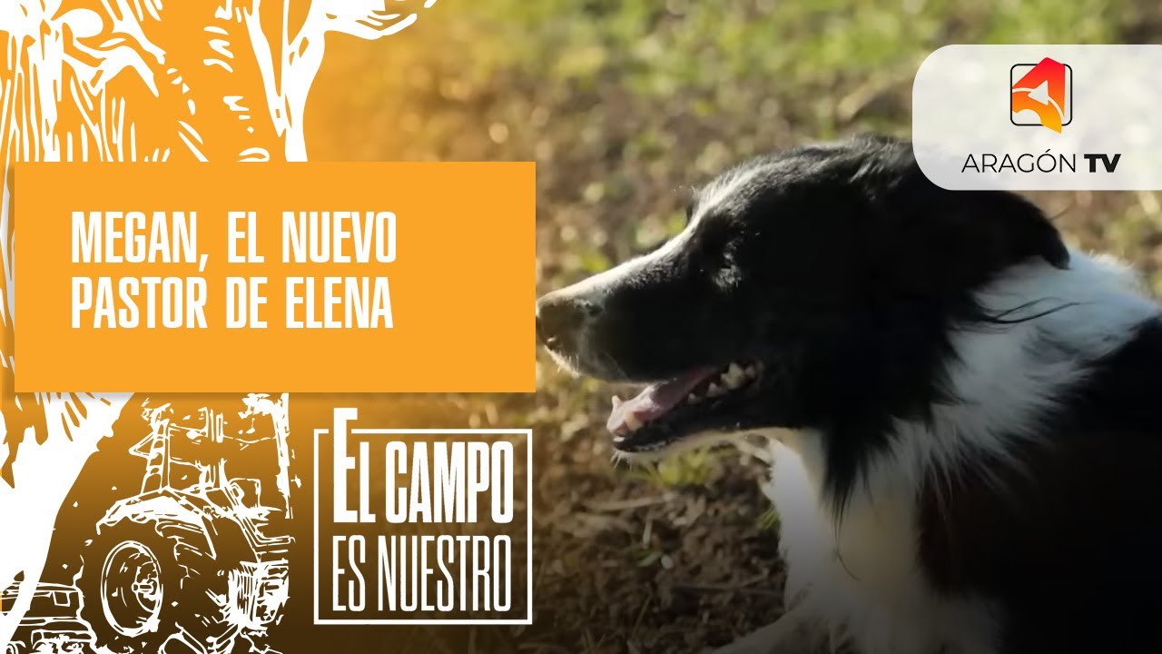 Megan, el nuevo pastor de Elena, es sevillano