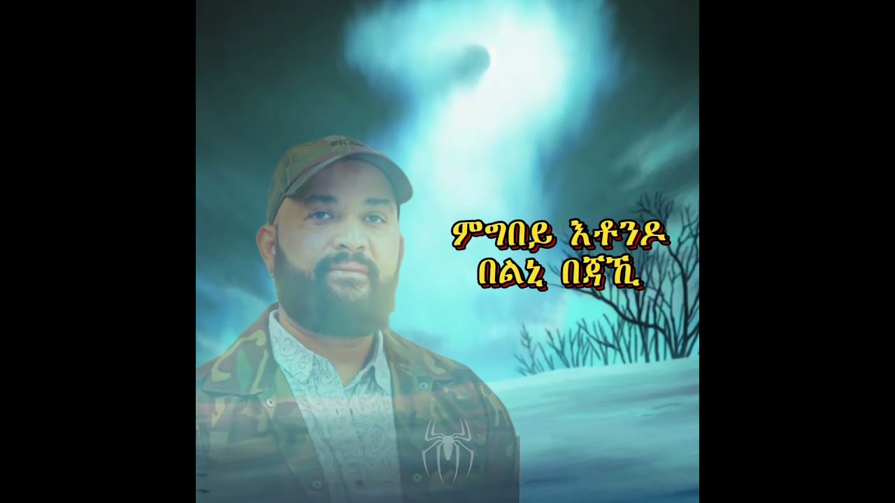 Abraham Gebremedhin - mgbey 💖🔥        #tigrignamusic #ethiopianmusic #lyrics #90s #abrahamgebremedhn