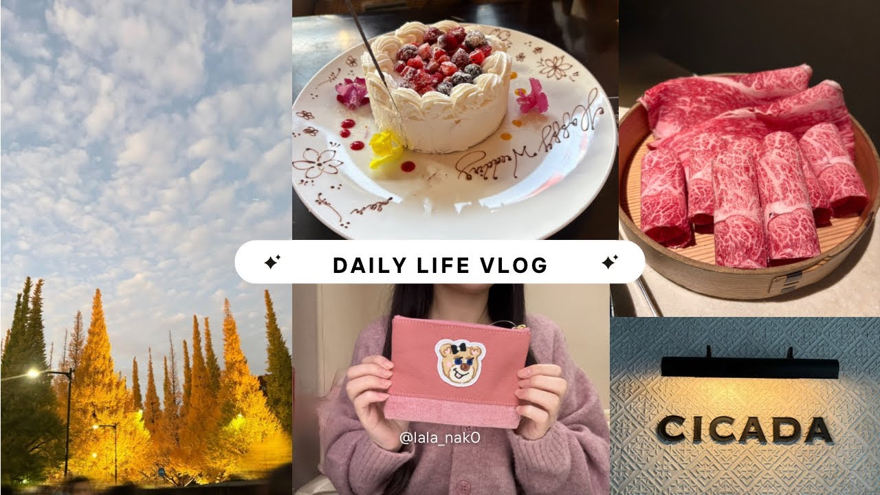 vlog | 丸の内OLの日常👩&zwj;💻 外苑前イチョウ並木✨,表参道ディナー🍽️,誕生日プレゼント開封🎁,ブルガリアフヌン🫖,クリスマス会🎄,ユニクロ購入品👚,ファミリア購入品👜等