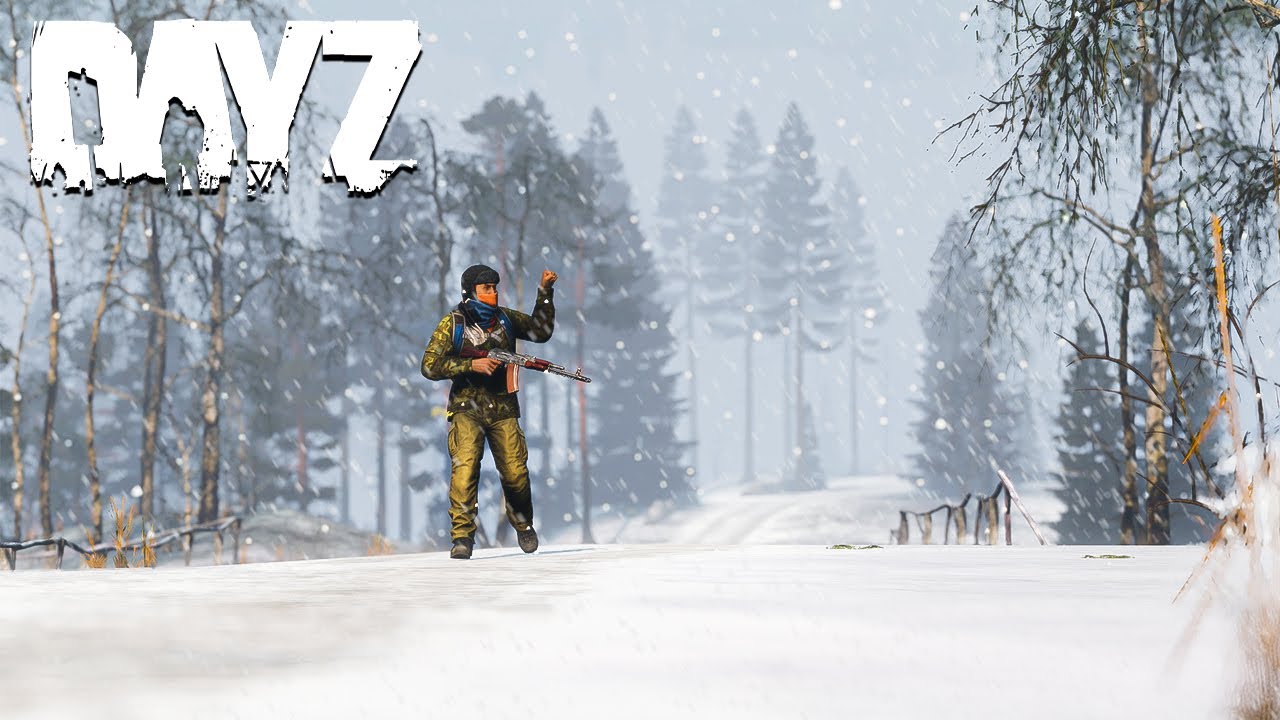 DayZ Survival & The Long Dark in 1440p
