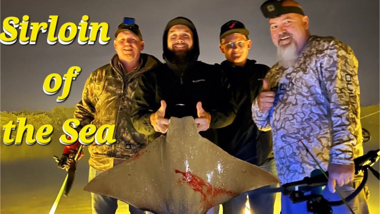 Using a Traditional  Longbow  to harvest a  Cownose Ray  and find out exacty what they taste like!