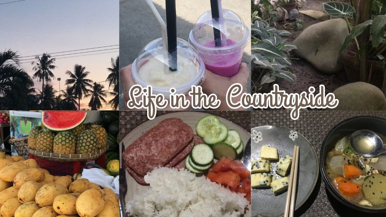 Life in the countryside🌴🍉| sunset watching🧡🌤 errands🛒🍹comfort food🍜🍣 #simpleliving #slowliving