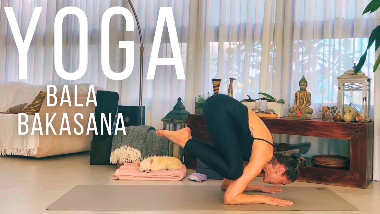 AULA DE YOGA construindo Bala Bakasana