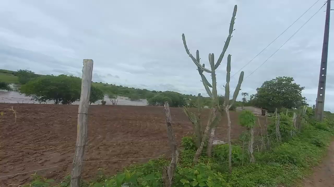 2 de março de 2026