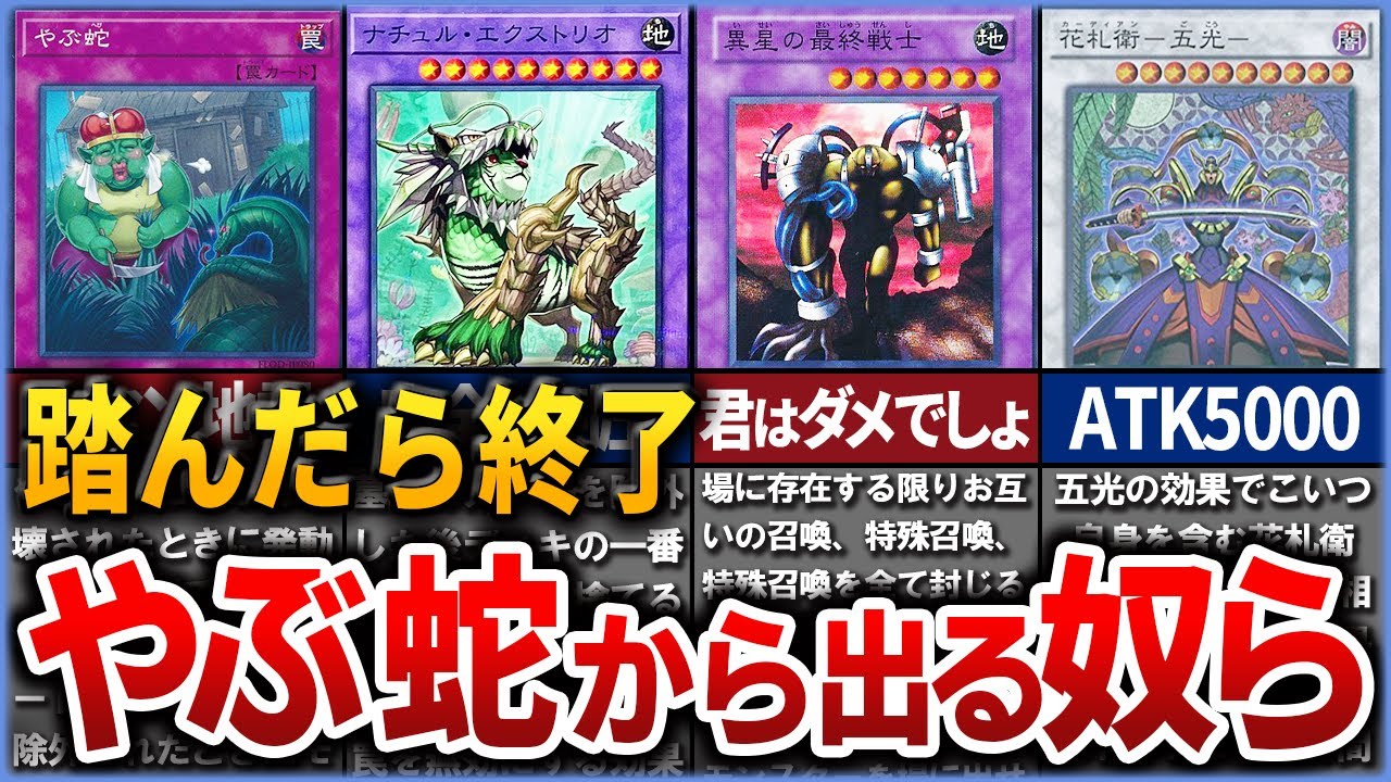 【遊戯王】踏んだら完全終了「やぶ蛇」から出てくるヤバすぎるモンスター解説【ゆっくり解説】