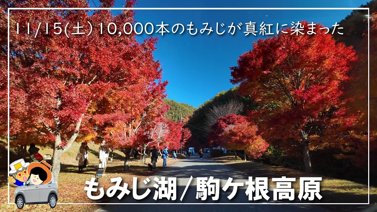 もみじ湖【紅葉Vlog】10,000本のモミジが真紅に染まるもみじ湖/冠雪の駒ケ岳の麓、駒ケ岳高原で終わりゆく秋を堪能。紅葉の時期は、短く儚い。故に最高に輝いて散って行く。