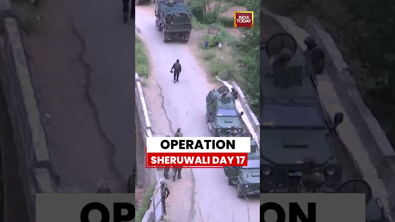 Indian Security Forces Continue Anti-Terror Operation Sheruwali On 17th Day | India Today