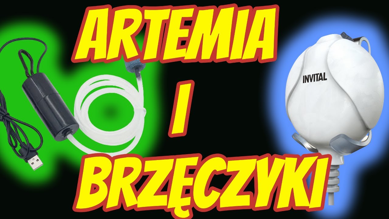 Hodowla Artemi- jak to robię i moje wnioski co do sprzętu !
