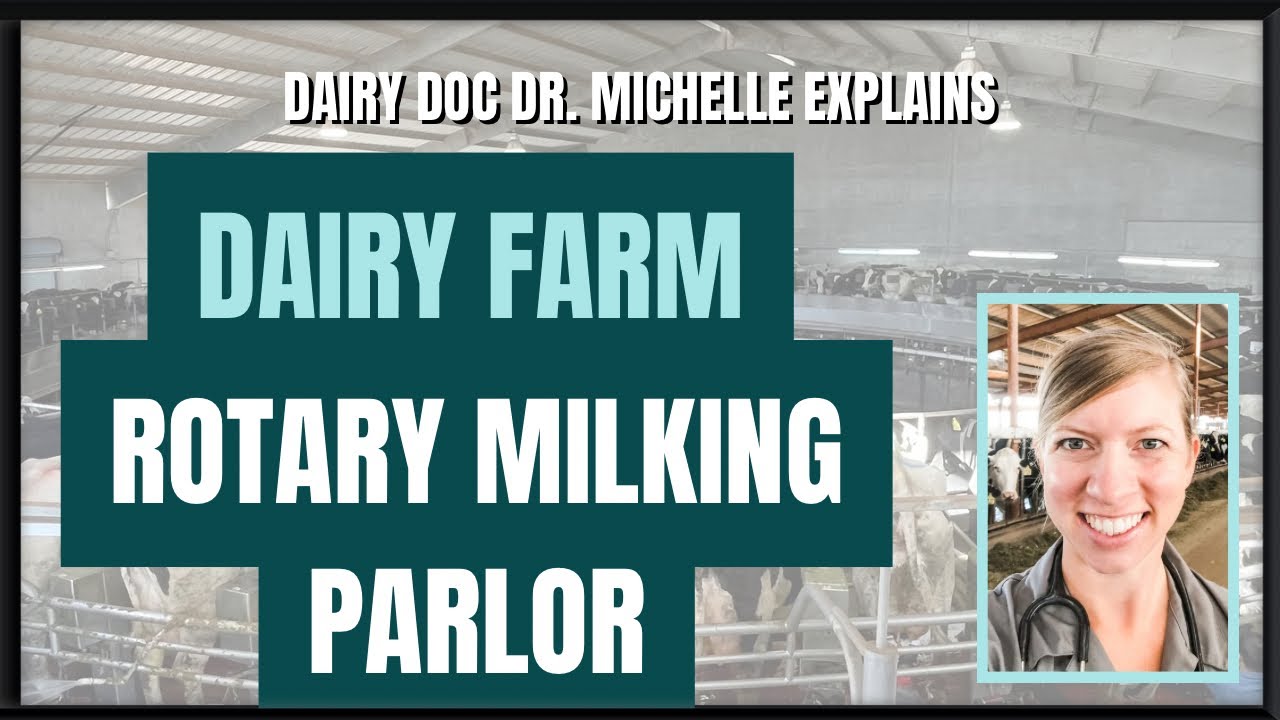 Rotary Milking Parlor - Cow Carousel