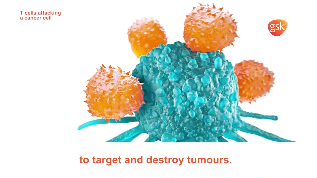 No two cancers are the same