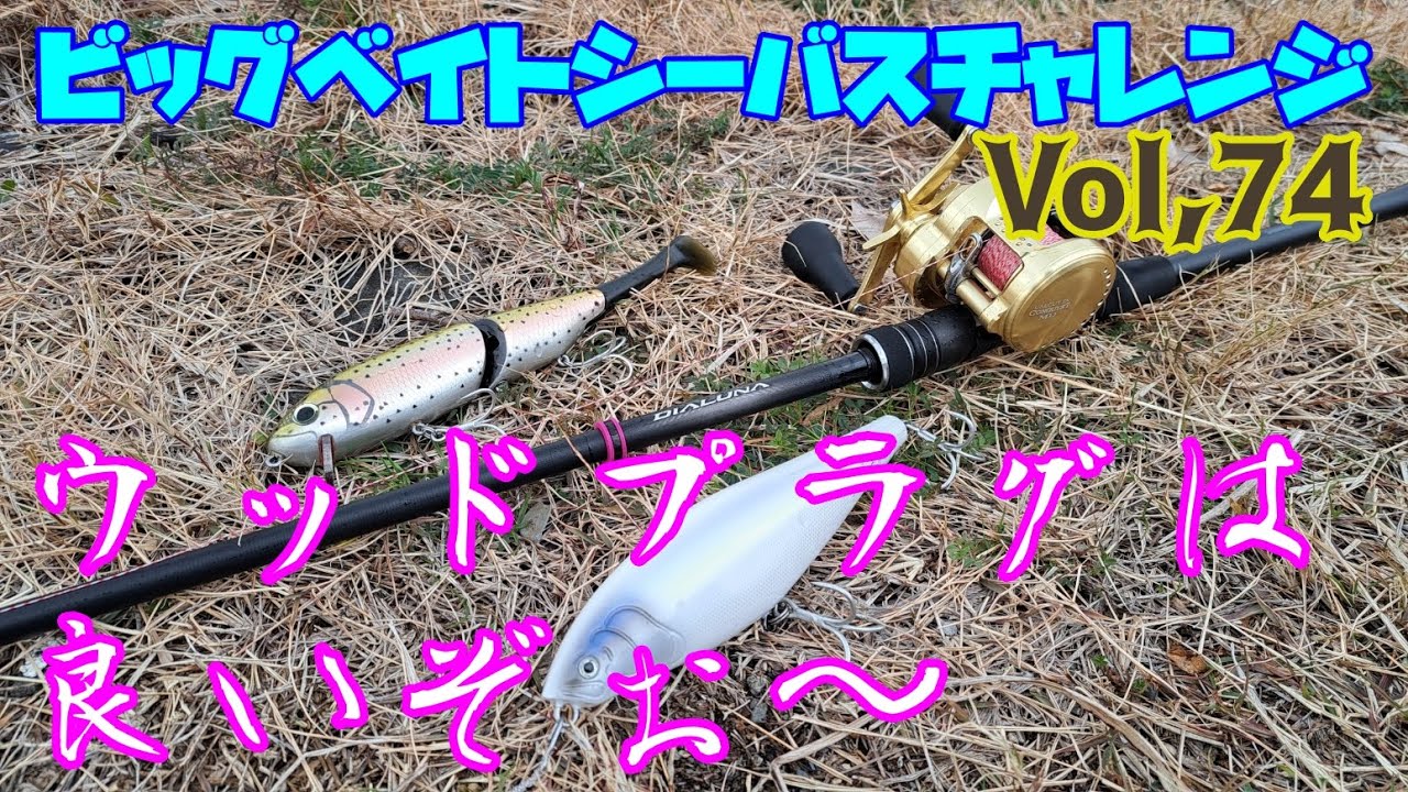 【ビッグベイトシーバスチャレンジ Vol,74】ウッドルアーを投げました