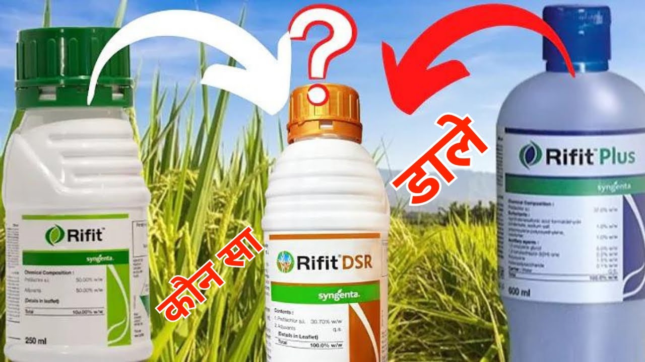 Rifit डालू या Rifit Plus👌धान में खरपतवारों की रोकथाम के लिए कौन सी डालू